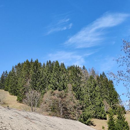 Berggasthaus Prager Boden Hotel Todtnau Buitenkant foto