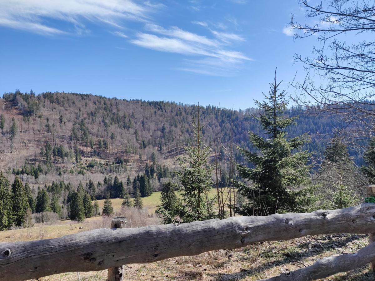 Berggasthaus Prager Boden Todtnau Buitenkant foto