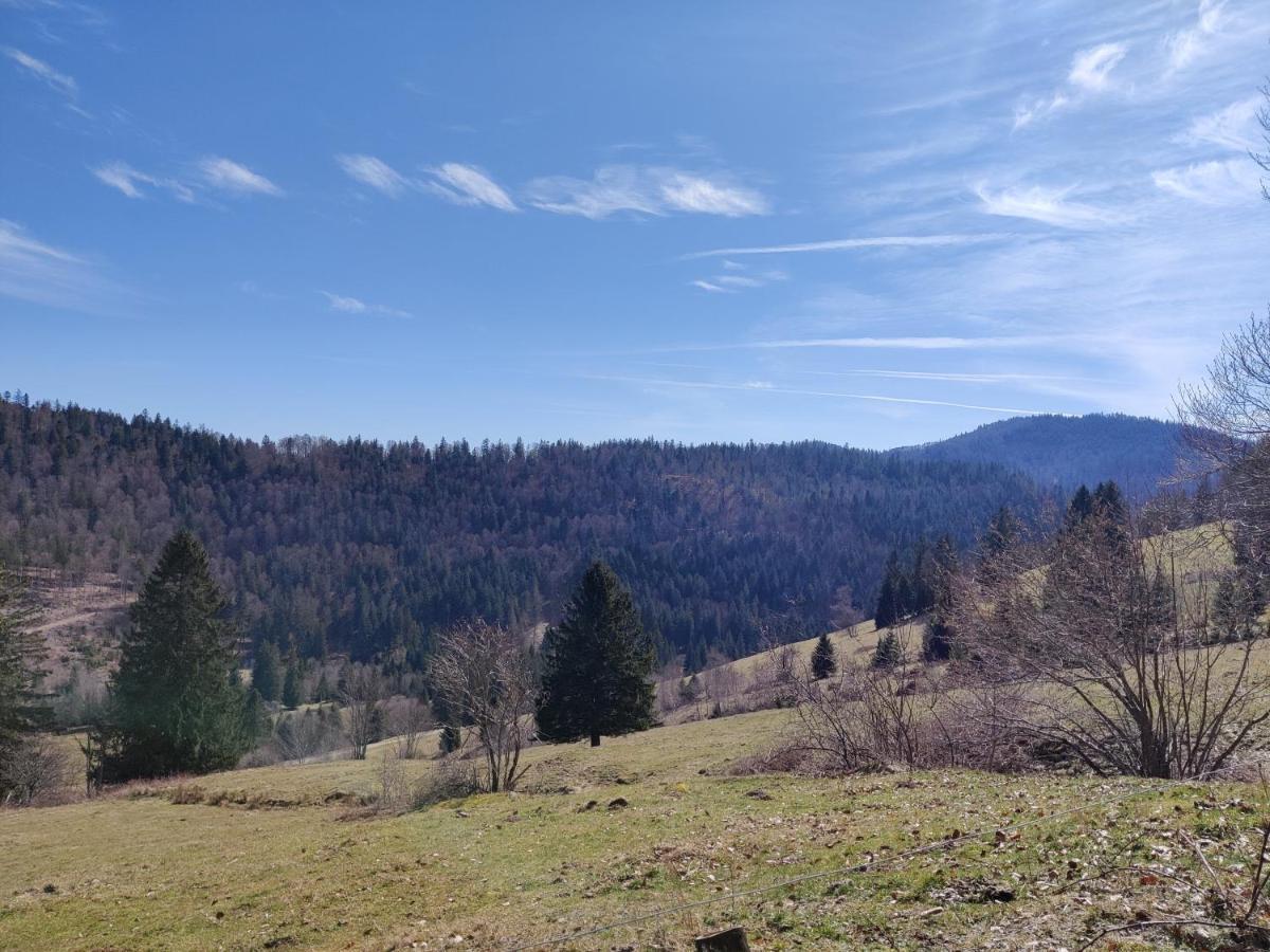 Berggasthaus Prager Boden Hotel Todtnau Buitenkant foto