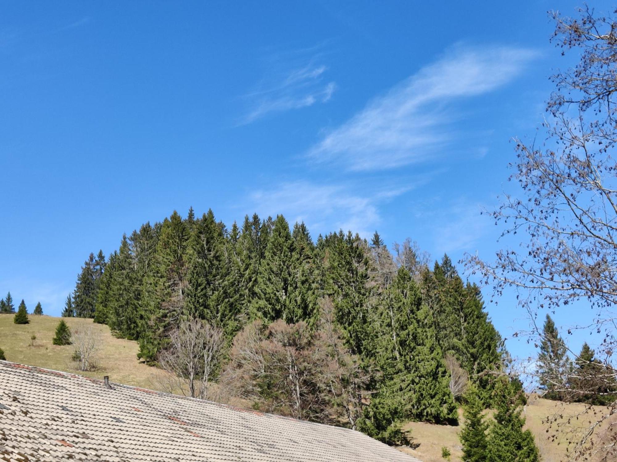 Berggasthaus Prager Boden Todtnau Buitenkant foto