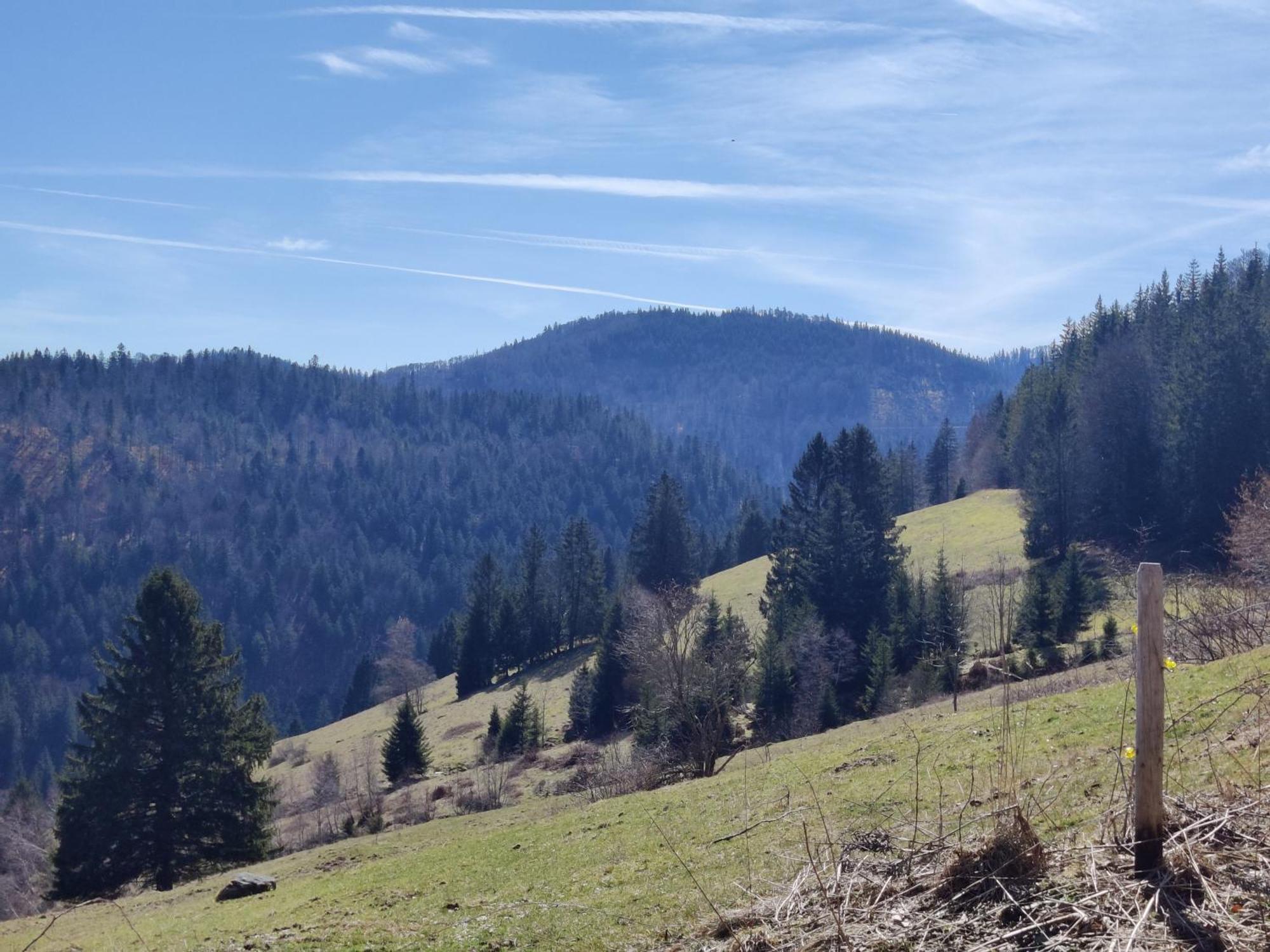 Berggasthaus Prager Boden Hotel Todtnau Buitenkant foto