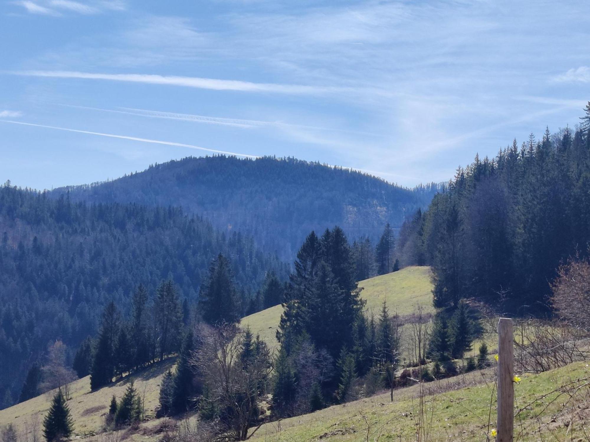 Berggasthaus Prager Boden Hotel Todtnau Buitenkant foto