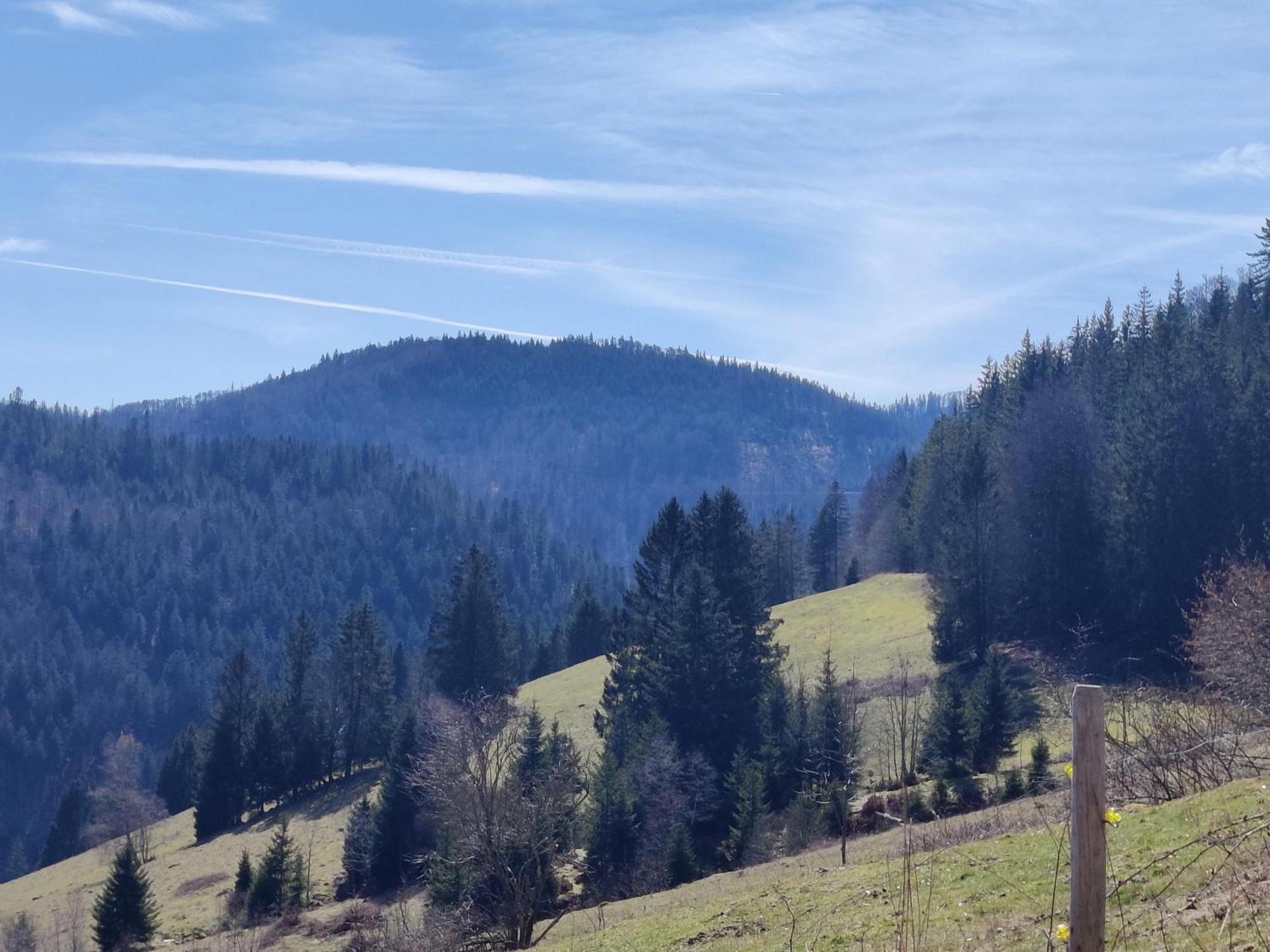 Berggasthaus Prager Boden Todtnau Buitenkant foto