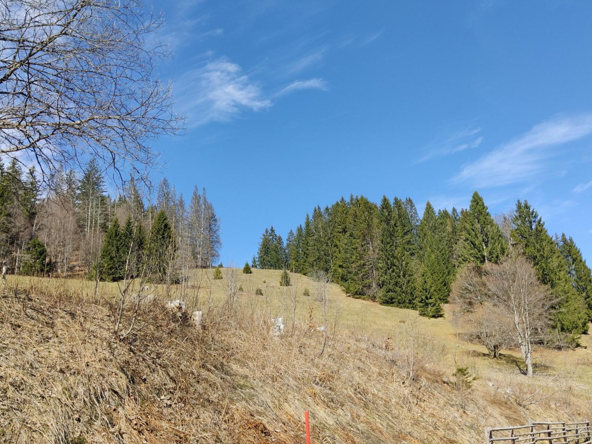 Berggasthaus Prager Boden Hotel Todtnau Buitenkant foto