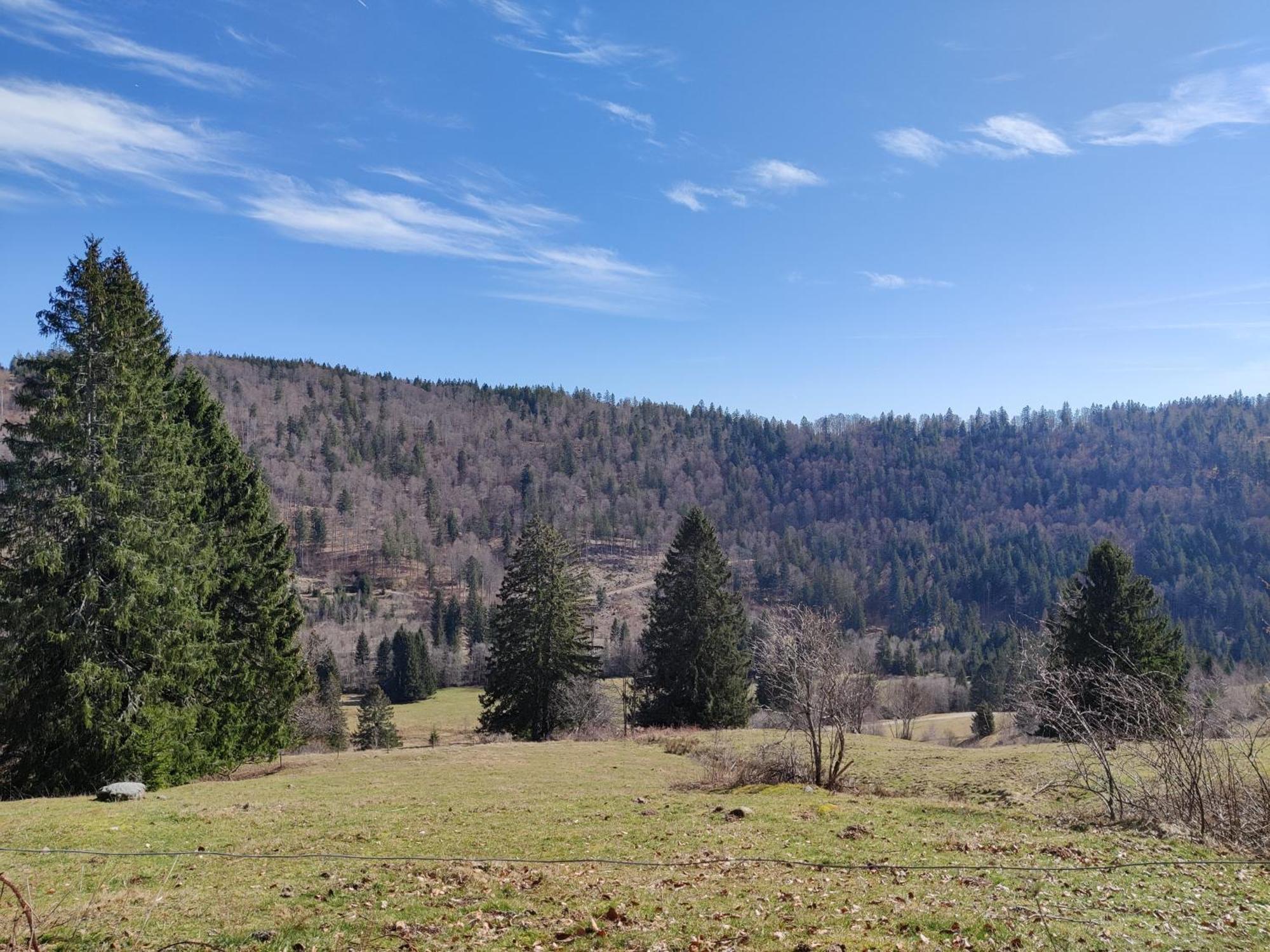 Berggasthaus Prager Boden Todtnau Buitenkant foto