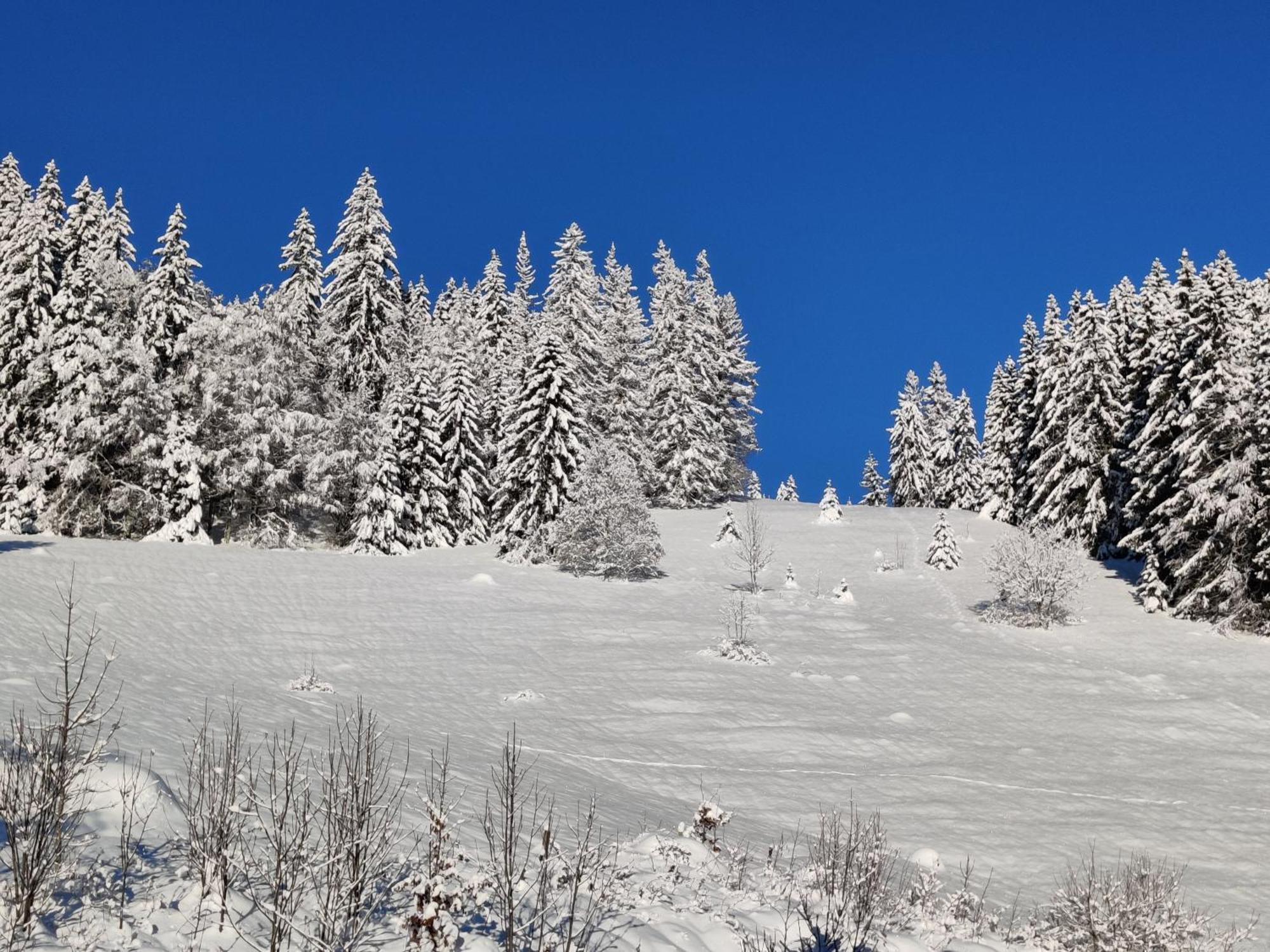 Berggasthaus Prager Boden Hotel Todtnau Buitenkant foto