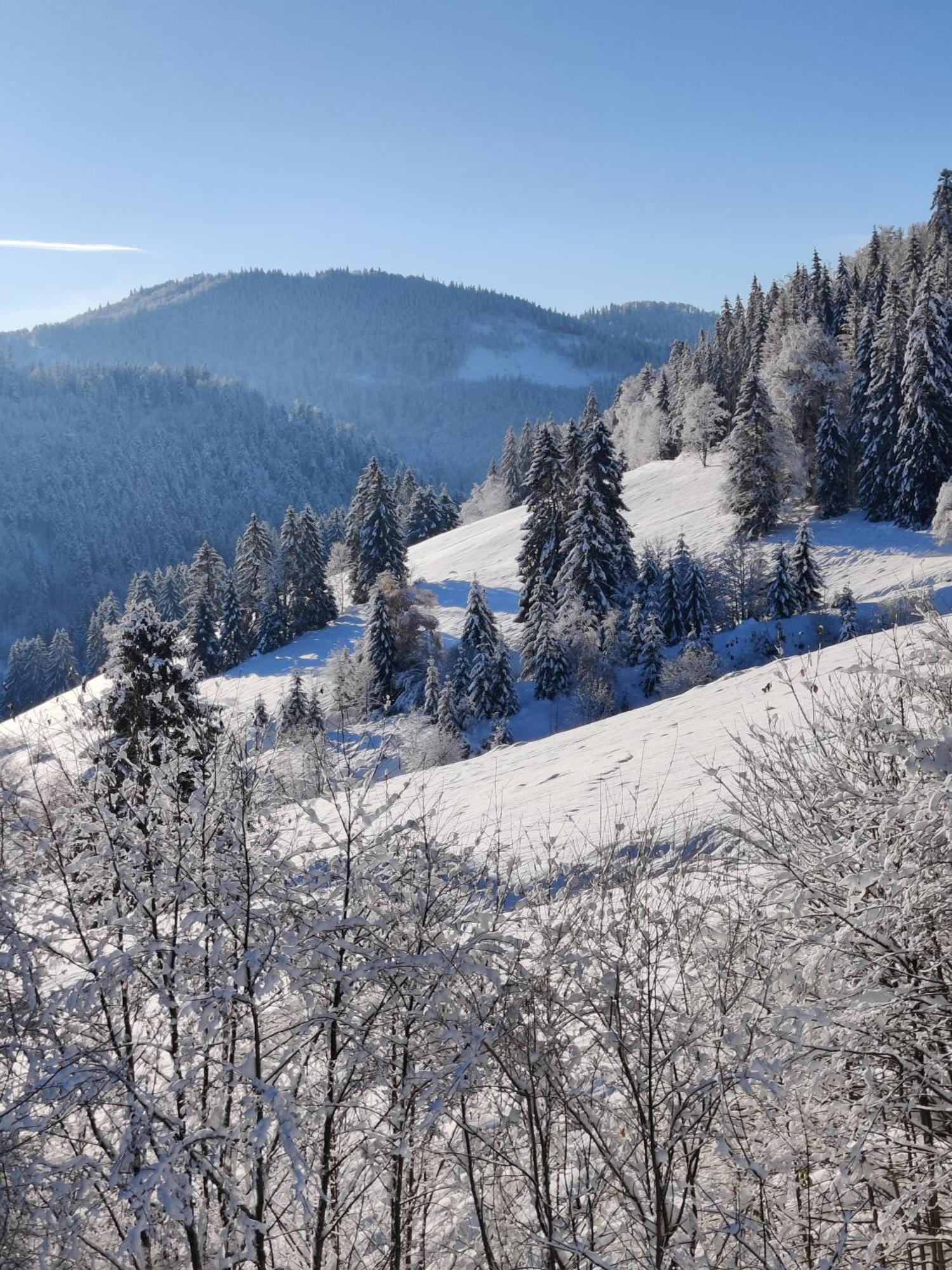 Berggasthaus Prager Boden Todtnau Buitenkant foto