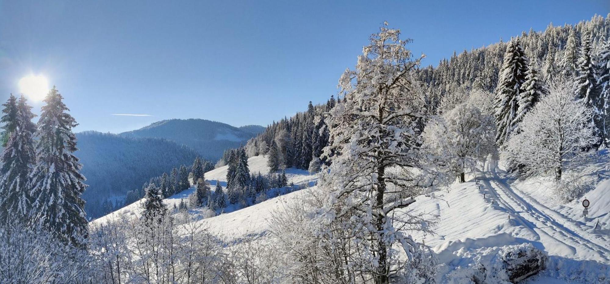 Berggasthaus Prager Boden Hotel Todtnau Buitenkant foto