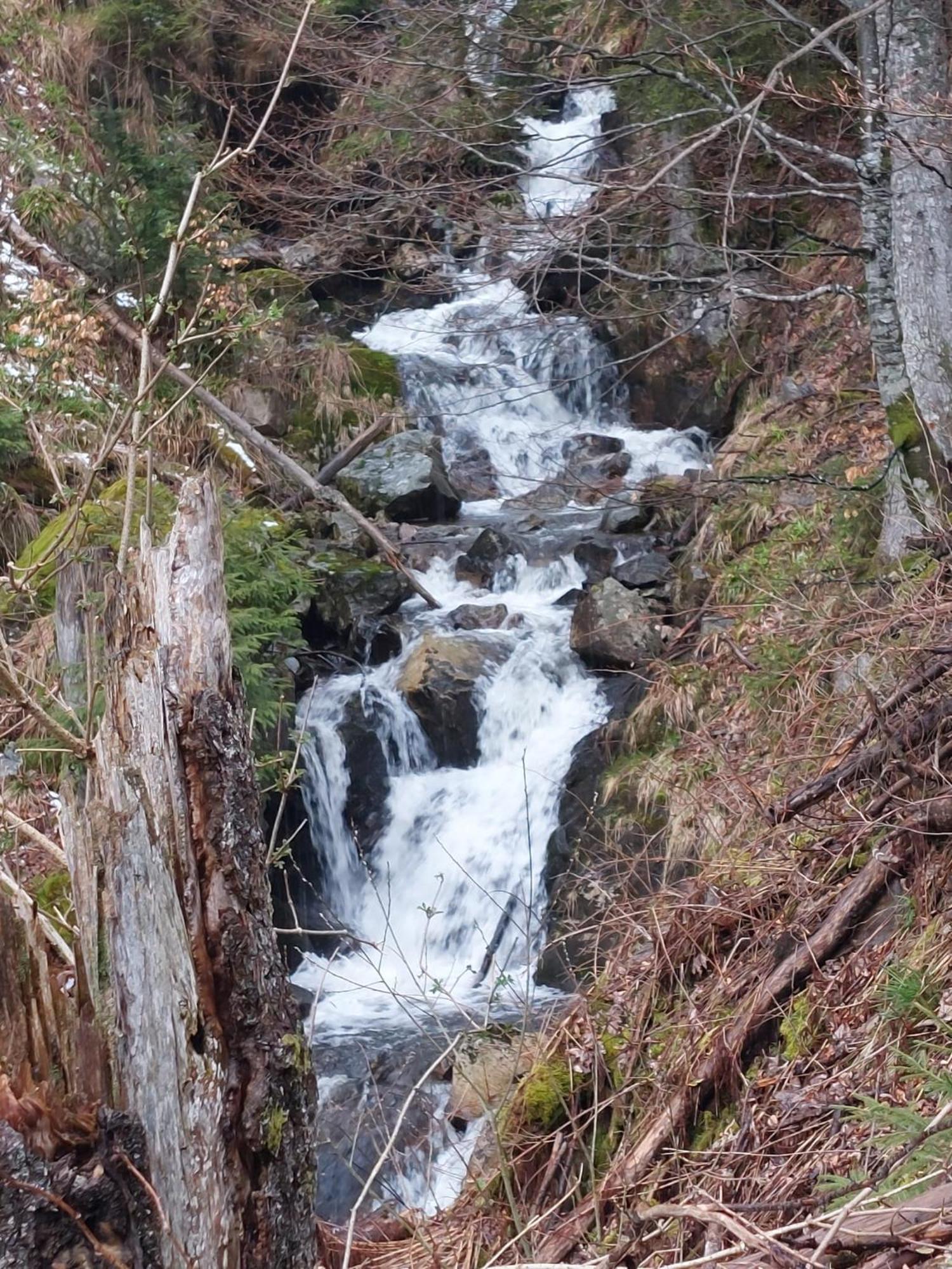 Berggasthaus Prager Boden Todtnau Buitenkant foto