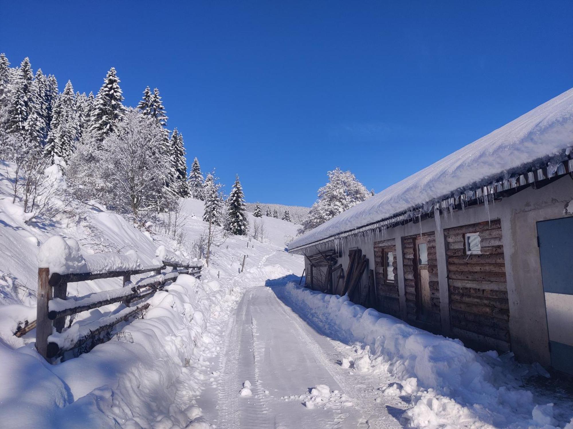 Berggasthaus Prager Boden Hotel Todtnau Buitenkant foto