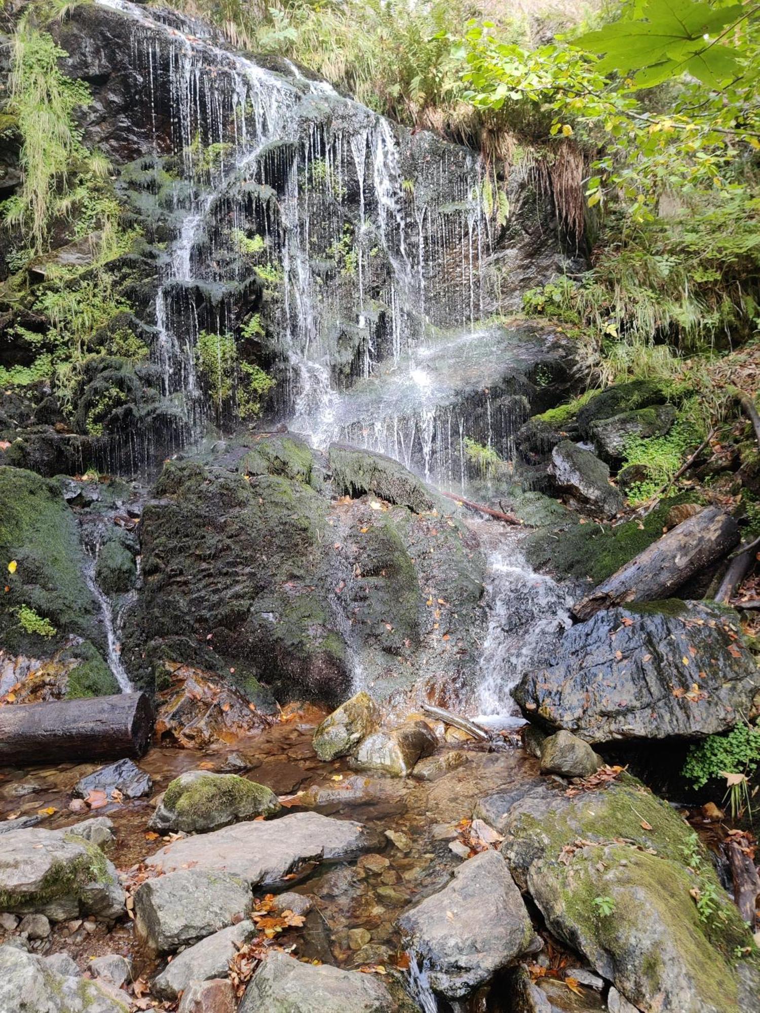 Berggasthaus Prager Boden Todtnau Buitenkant foto