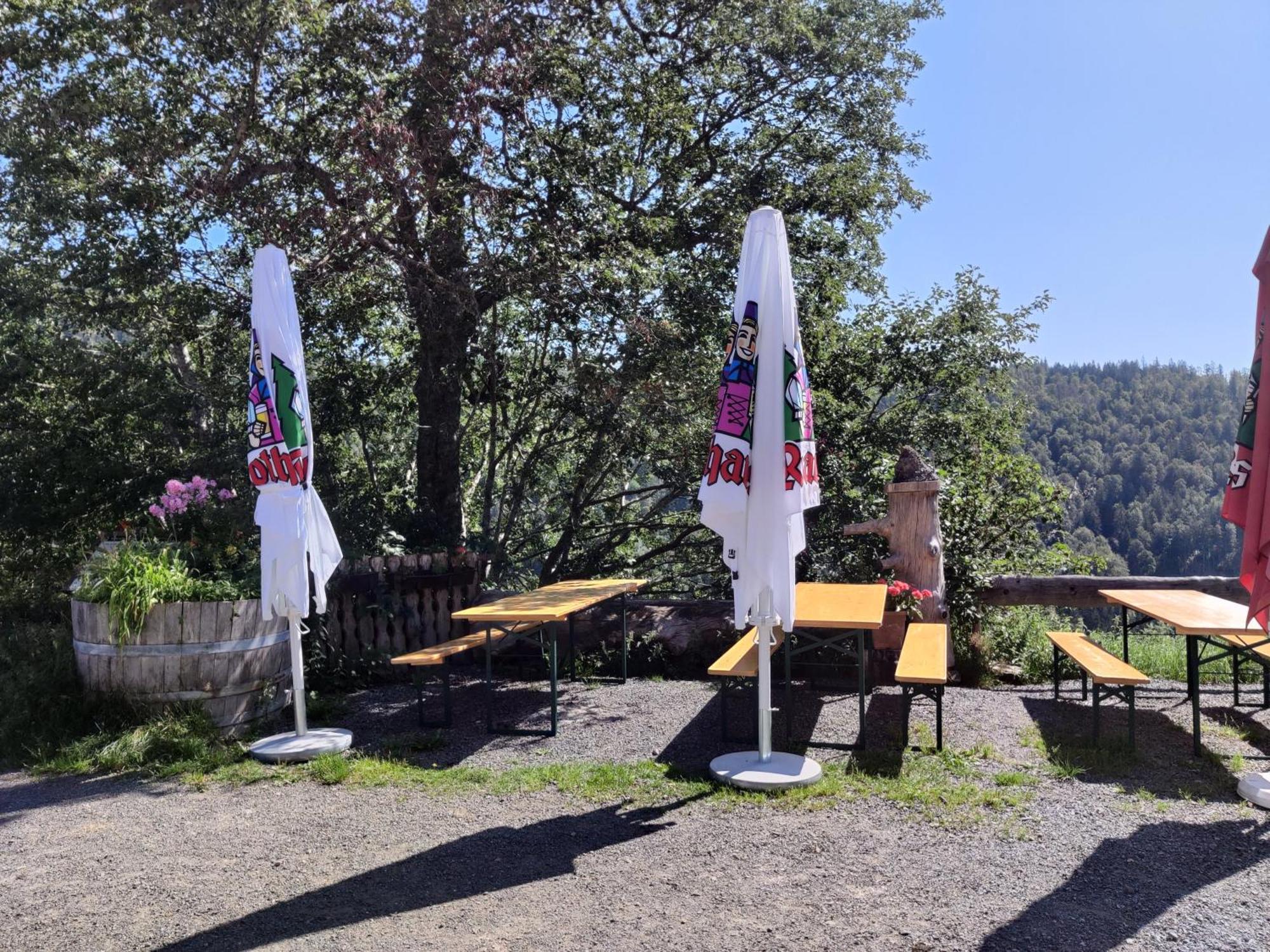 Berggasthaus Prager Boden Hotel Todtnau Buitenkant foto