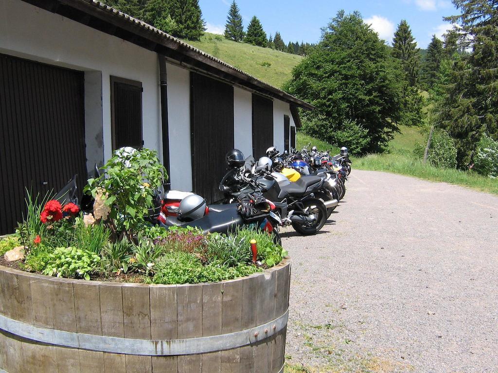 Berggasthaus Prager Boden Hotel Todtnau Buitenkant foto