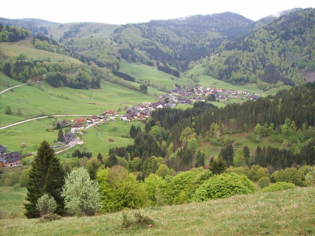 Berggasthaus Prager Boden Hotel Todtnau Buitenkant foto